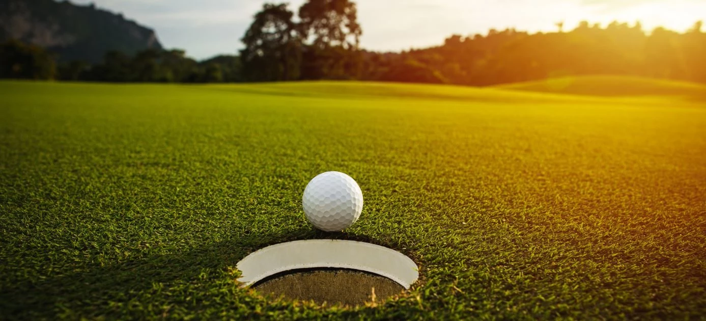 Powerbug Shop -Powerbug Shop 5F6DDF57 6914 46fa 8154 7398B3280BC6